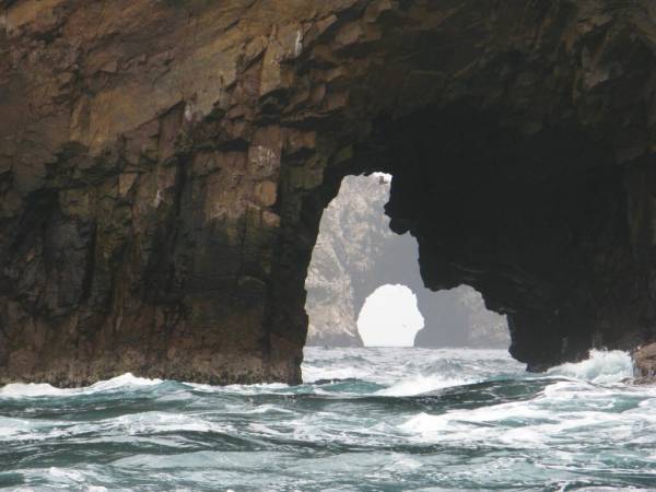 Mundo Andino y Paracas