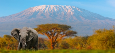 Tanzania trekking Kilimanjaro & Estancia en Zanzíbar