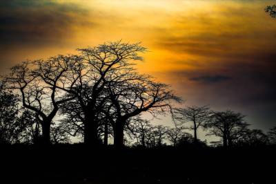 Paisajes y Culturas Infinitas